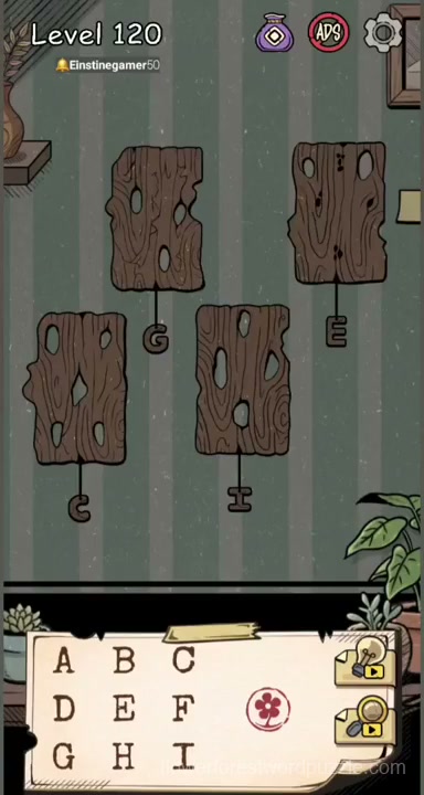 Level initial board