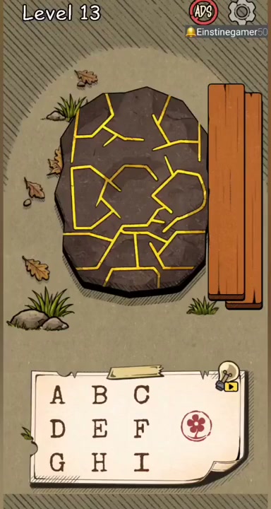 Level initial board