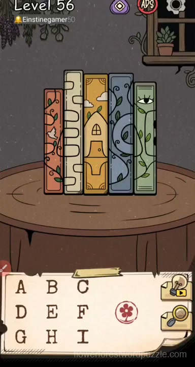 Level initial board