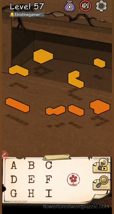 Level initial board