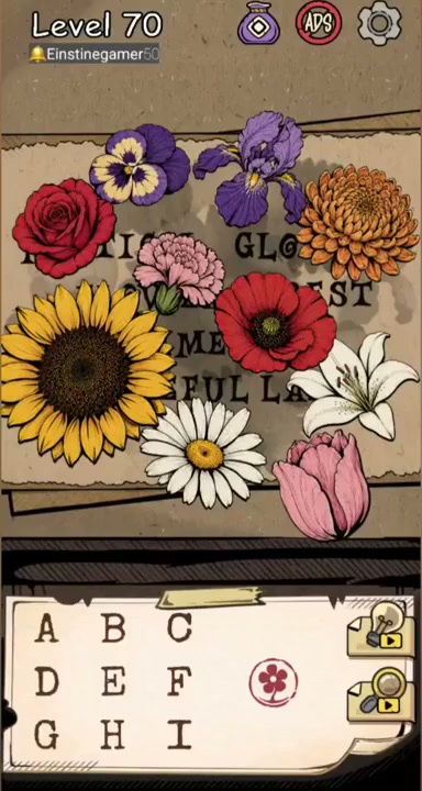 Level initial board
