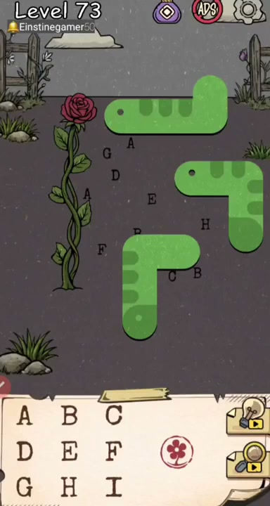 Level initial board