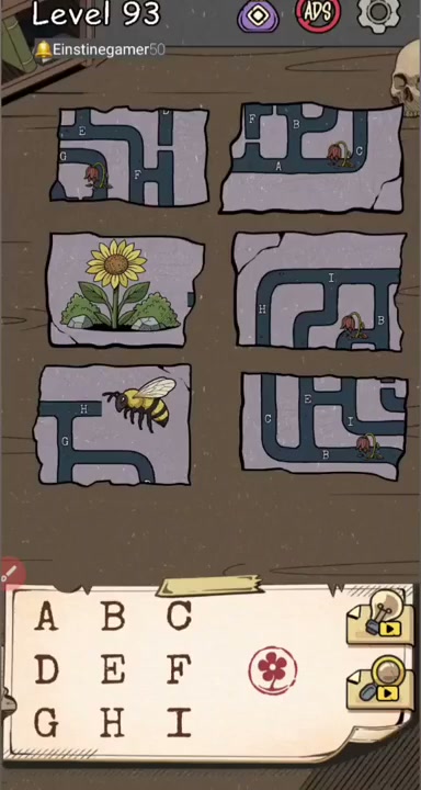Level initial board